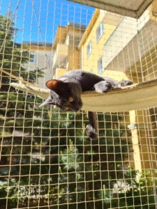 Zabezpieczenie balkonu dla kota