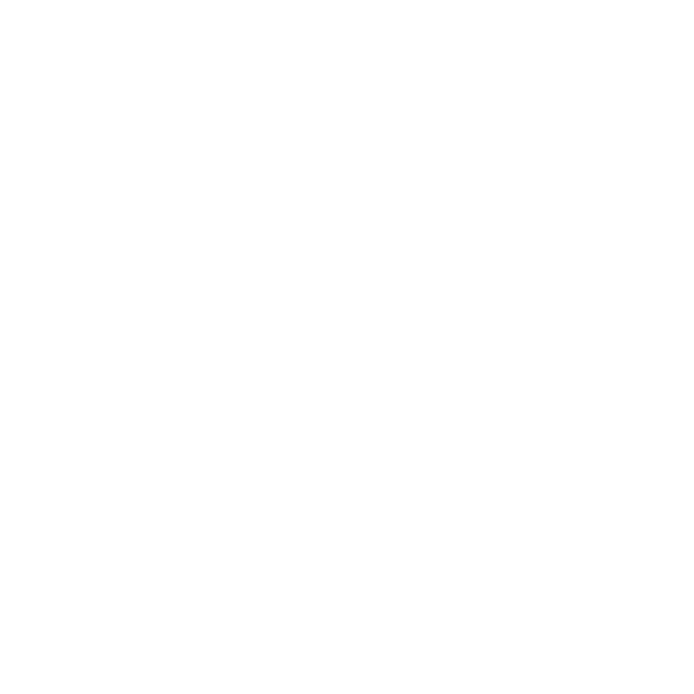 AlpinInstal