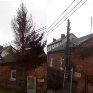 wycinanie drzew w problematycznych miejscach